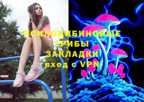стафф Баксан