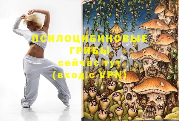 мдпв Балахна