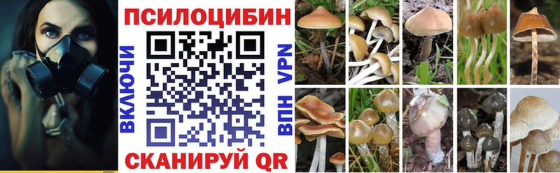 дарк нет Telegram  Бикин  Галлюциногенные грибы Cubensis  как найти наркотики 